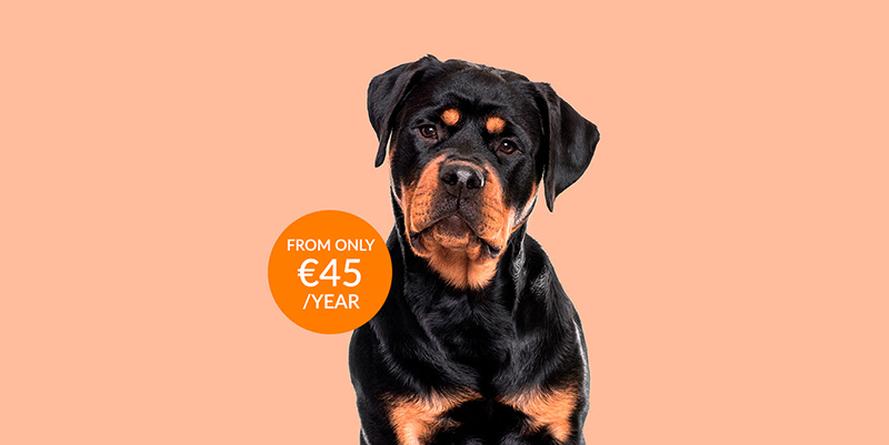 Public liability for best sale dogs